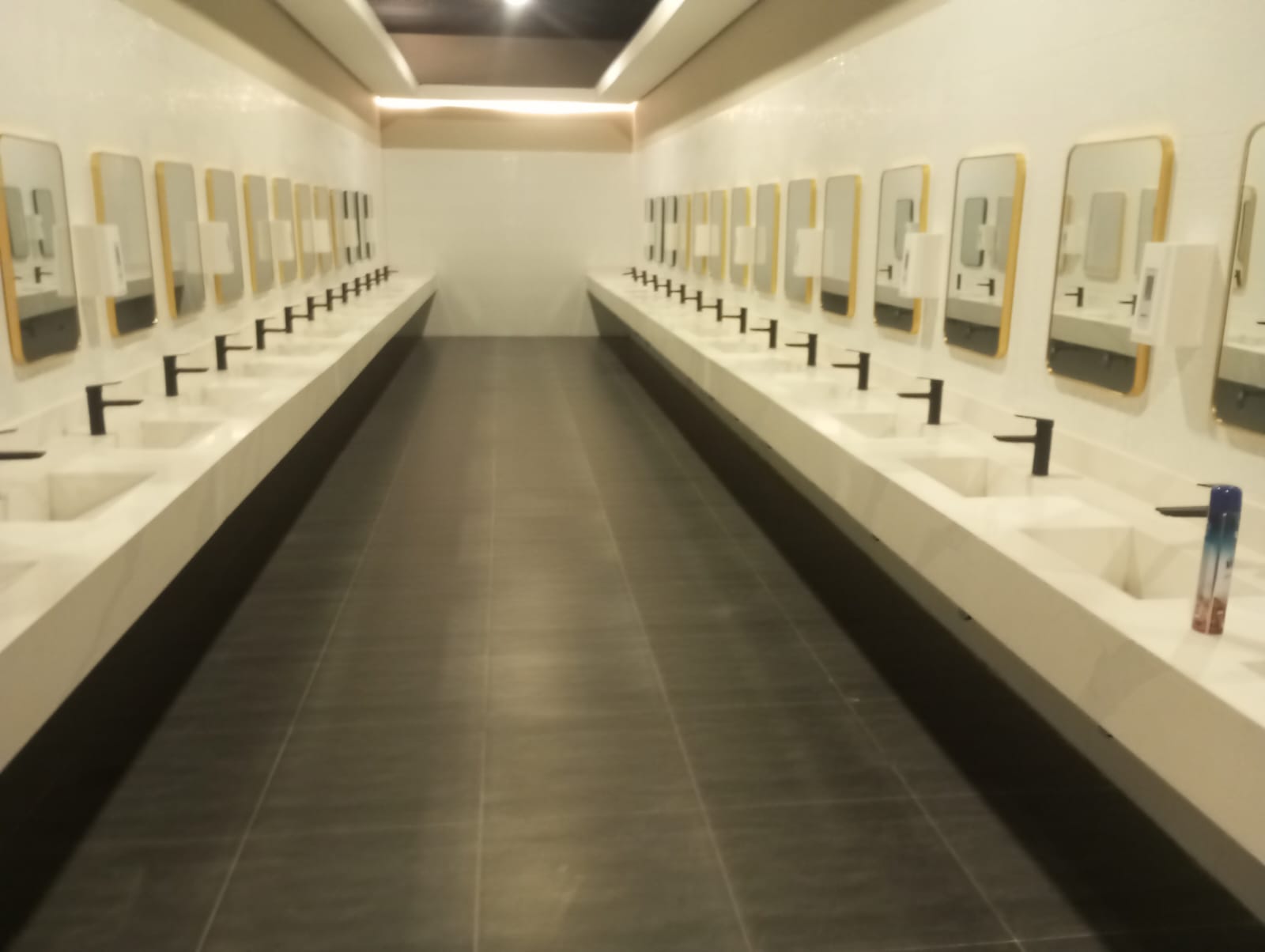 Oficina bano vanitorios dos hileras simetricas